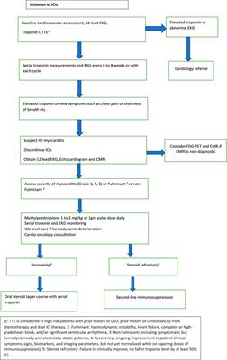 Immune Checkpoint Inhibitors and Their Cardiovascular Adverse Effects